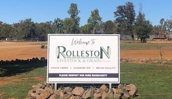 Bull sales start at upgraded Central Qld yards complex