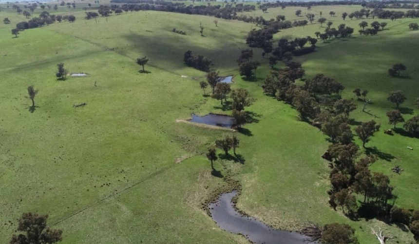 Weekly property review: Recently completed sales