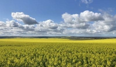 ABARES forecasts record winter crop production