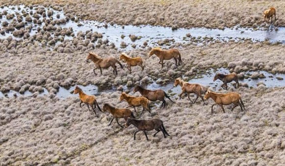 Beef Central’s beef quiz – August 2021