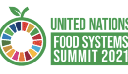 NFF welcomes Ag Minister’s remarks to UN Food Systems Summit