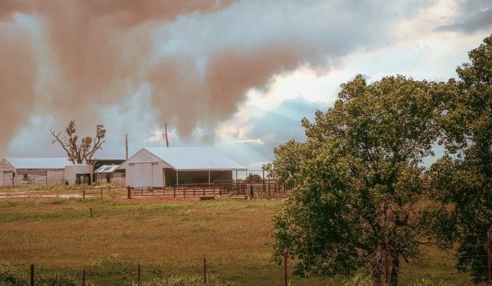 Applications open for climate-smart farming scholarship