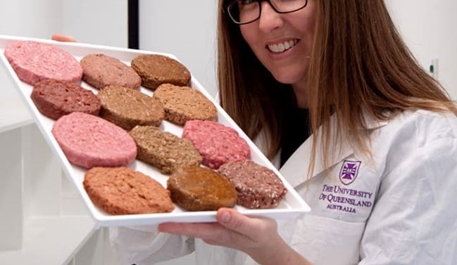 Research aims to make plant protein alternatives more ‘meat like’