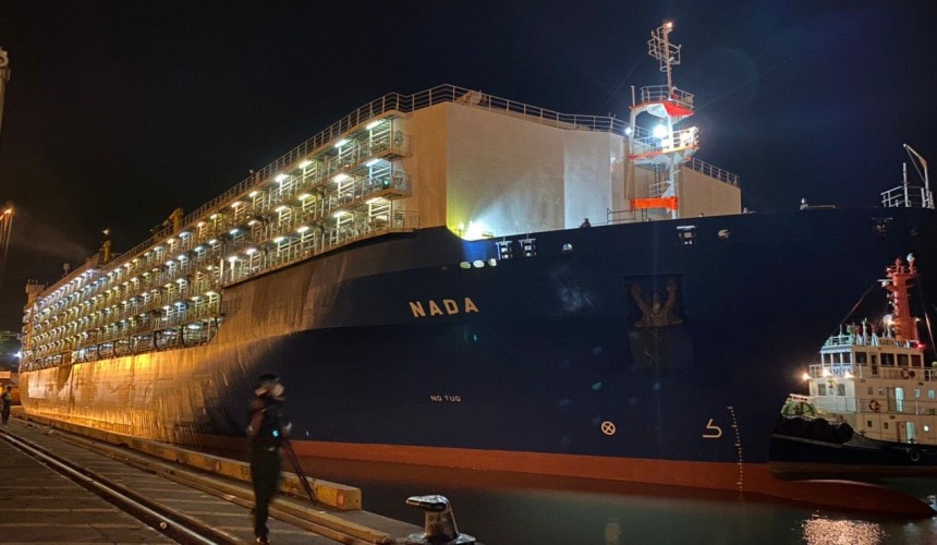 Second Brazil shipment to Vietnam expected in December