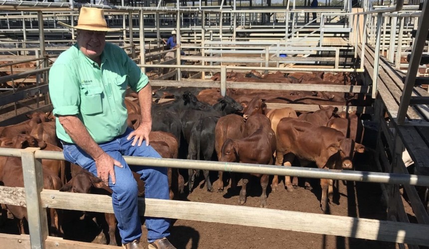 Roma sale 2 Nov 2021:  Firm market for 5096