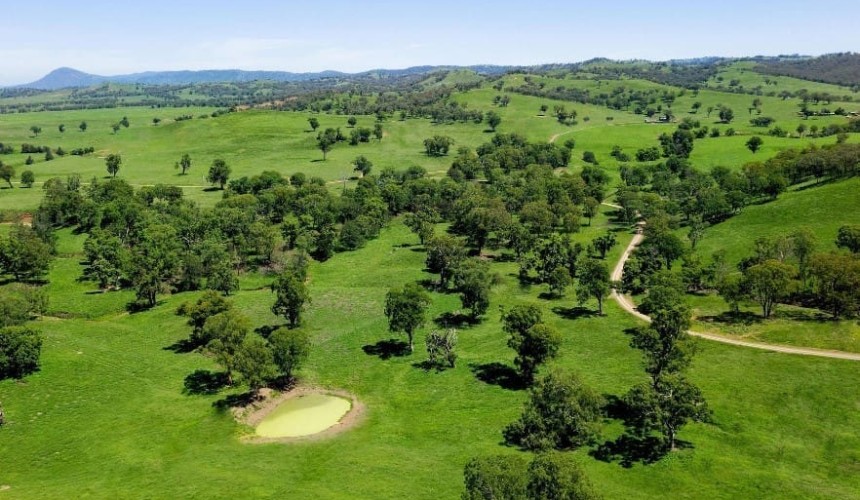 Movement at the station: Recent property listings