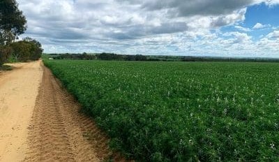 Beef with labels detracts from growth for all: FIAL