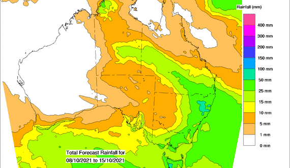 EYCI sweeps to another record high, as more wet weather brews