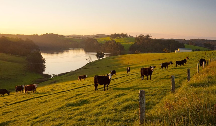 Beef Central’s beef quiz – October 2021