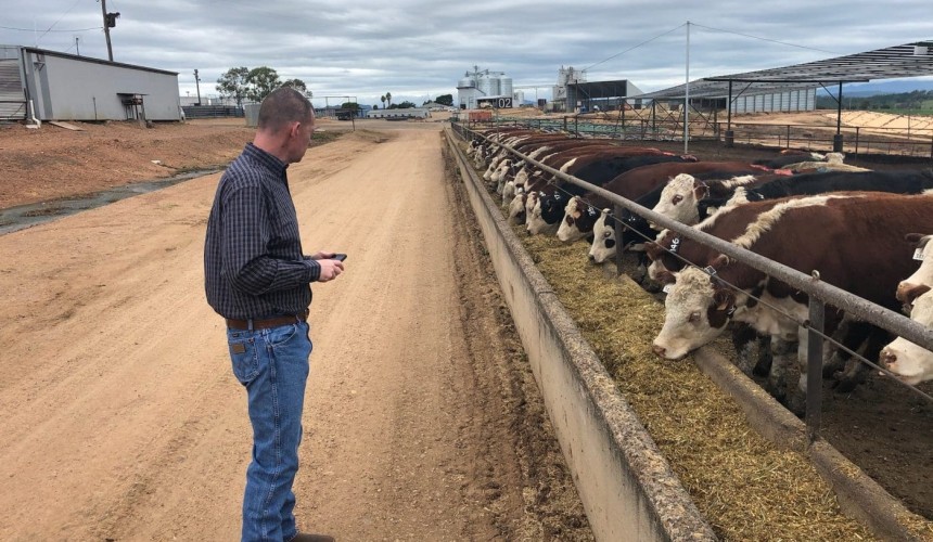Remote monitoring shows promising BRD diagnosis results