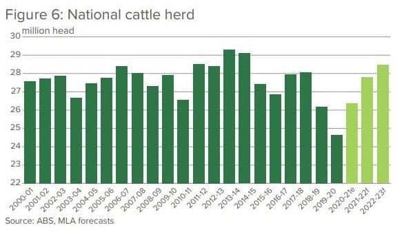 Favourable conditions to strengthen national herd rebuild