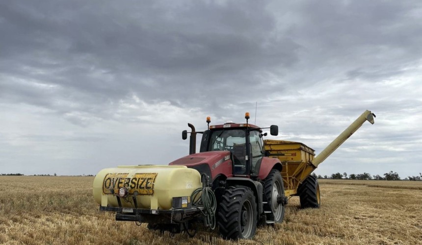 Feedgrain Focus: Moves mixed amid rain, big yields