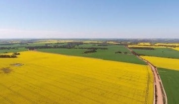 Twiggy Forrest’s Harvest Road agrees to buy New Norcia Farm