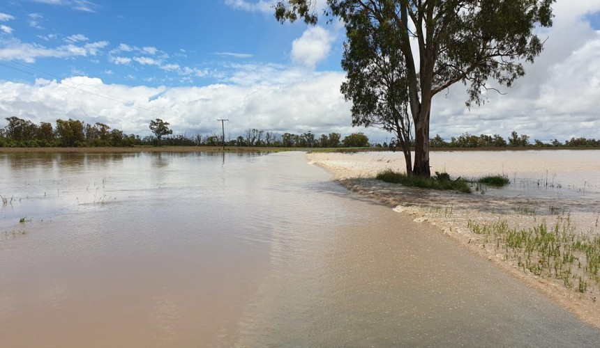 Rain disrupting supply chains across eastern states