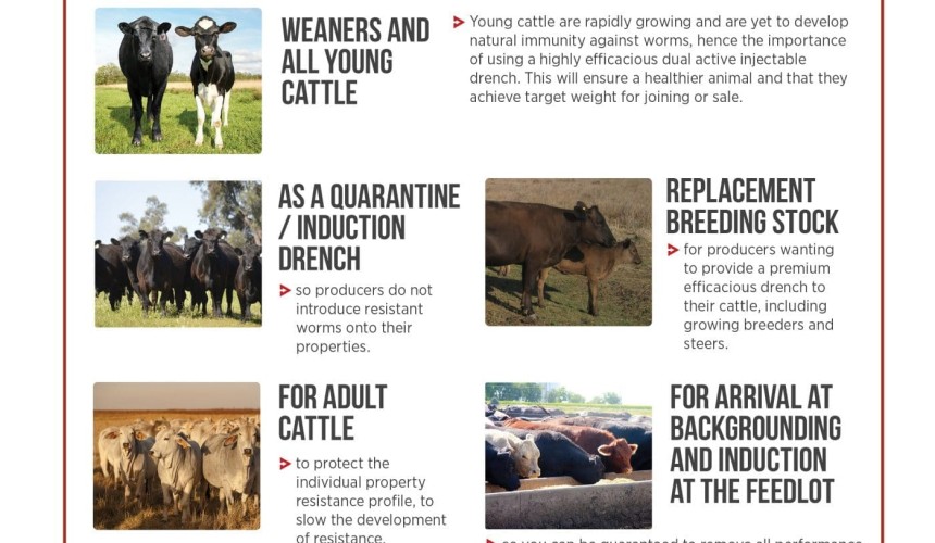 In a world where anthelmintic resistance in cattle is now a real concern, Dectomax V is ideal for weaners, growing cattle and other production systems
