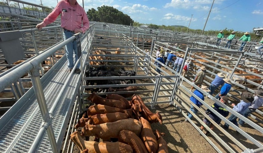 EYCI signs off for 2021 at all-time record 1169c/kg