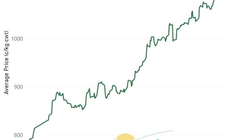Blistering EYCI threatens to push through 1150c