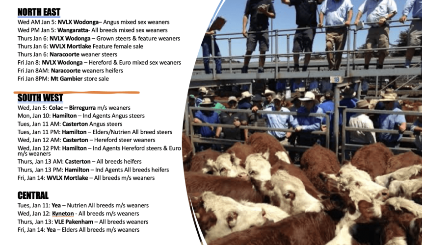 2022 Southern weaner sales: Full dates + What’s in store?