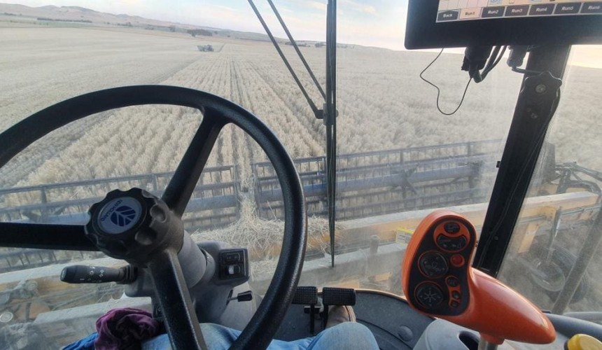 Feedgrain Focus: Rain exacerbates shorts in delayed harvest