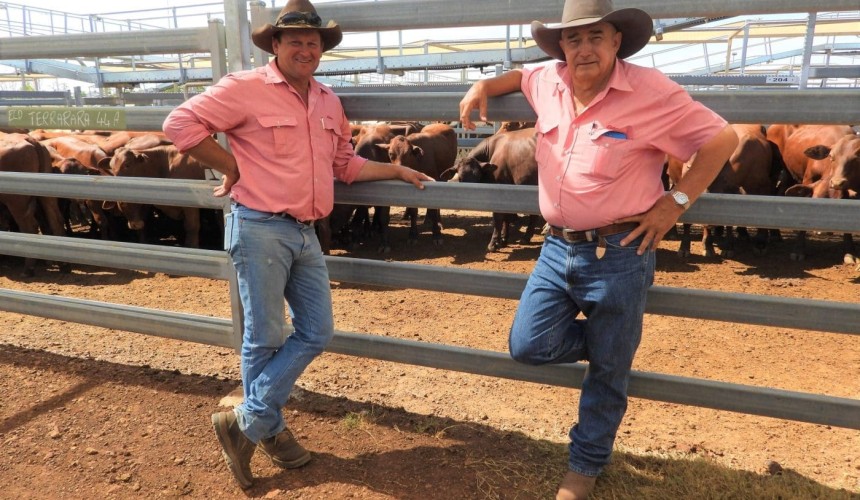 Roma sale 18 Jan 2022: Mixed quality as yarding doubles
