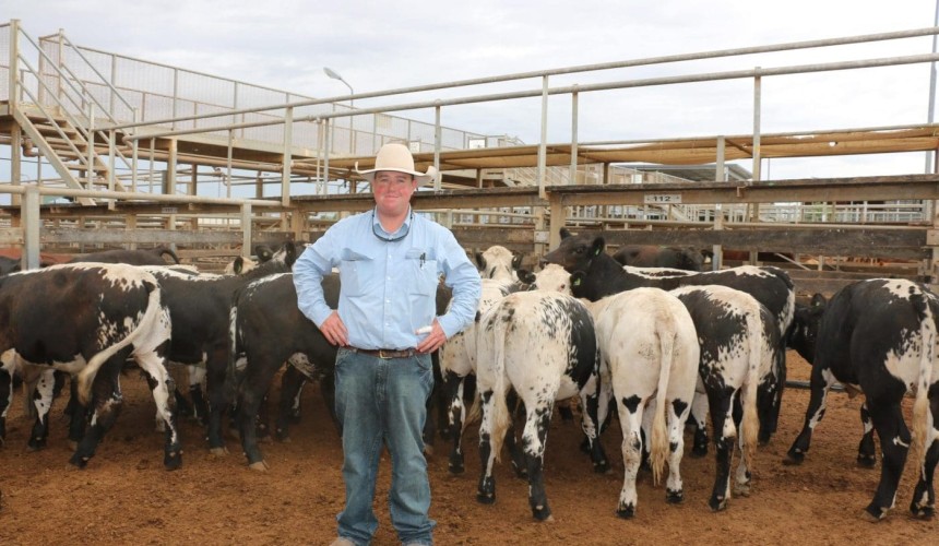 Roma sale 25 Jan 2022:  Numbers ease to 3857