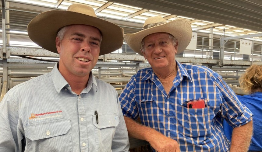 Tamworth producers and agents talk margins, herd rebuild and market disruptions