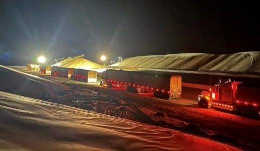 Feedgrain Focus: Market flattens as buyers weigh up options