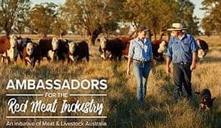 Applications open for next round of MLA Ambassadors training