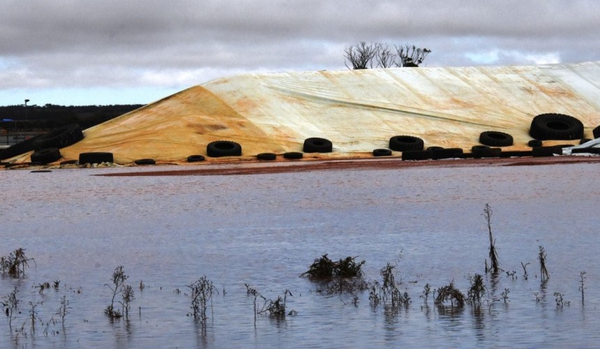 Feedgrain Focus: Sorghum sinks in otherwise steady market