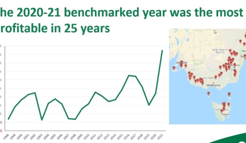 Benchmarking project exposes key profit drivers for high-performing southern beef herds