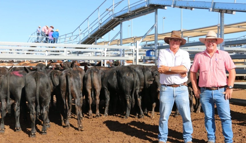 Roma sale 22 Feb 2022:  Firm market for 4037
