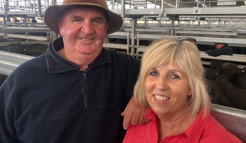 Vendors delight in massive $13 million Ballarat steer sale