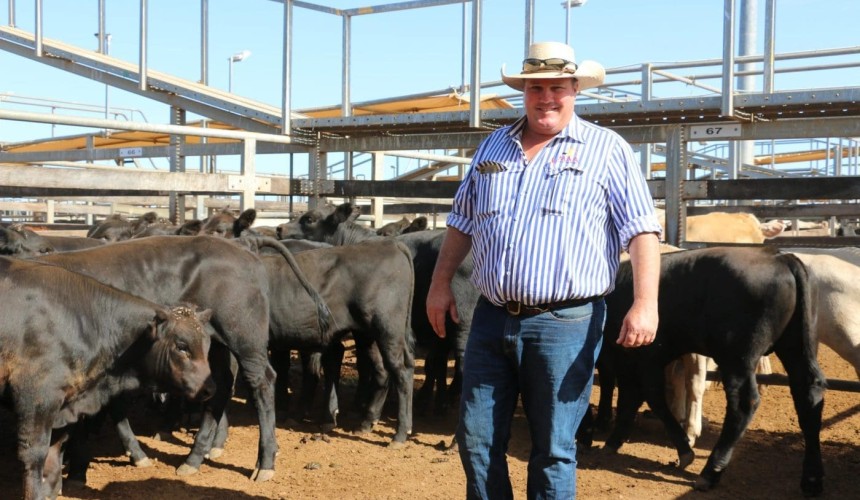 Roma sale 8 Feb 2022:  Market improves across smaller yarding