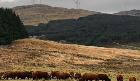 This is a photograph of a Scottish Power Station