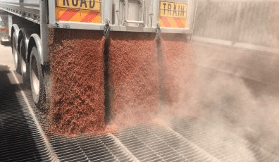 Feedgrain Focus: White grains lift, sorghum softens