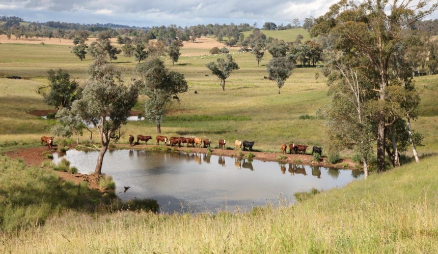 Farm survey data shows big jump in receipts