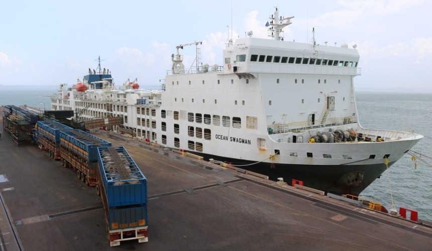 Indonesia issues 2026 cattle permits, live export ships set to resume next week