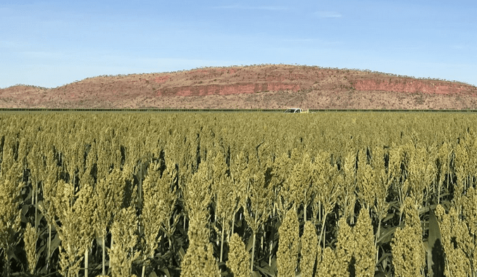 AAMIG named as developer for NT’s Keep Plains irrigation project
