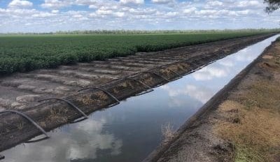 Hancock buys into Downs cropping with Warra Warra purchase