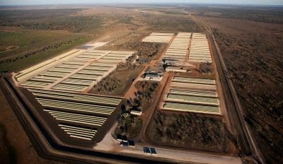 Chinese firm sells final stake in Cubbie