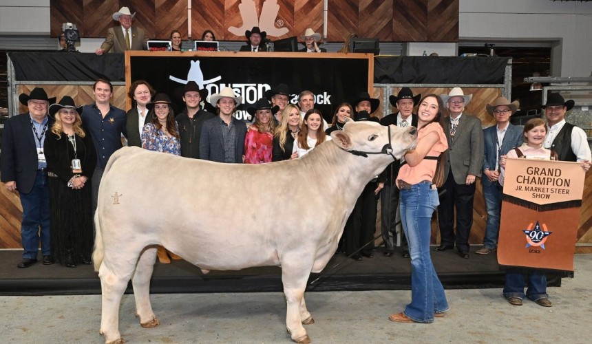 Led steer sells for record-breaking US$1 million