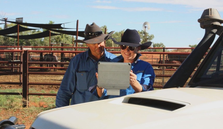 Satellite tags take flight on Aileron Station