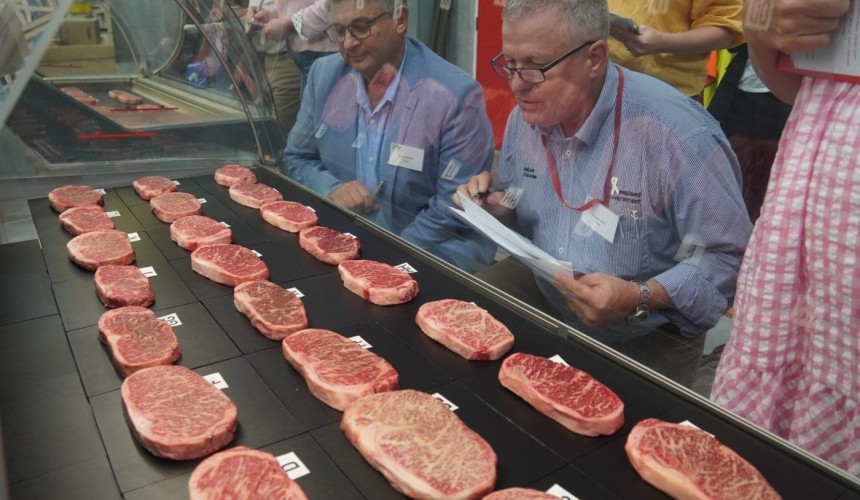 Big rewards for high marbling performance reflected in 2022 Wagyu branded beef comp 