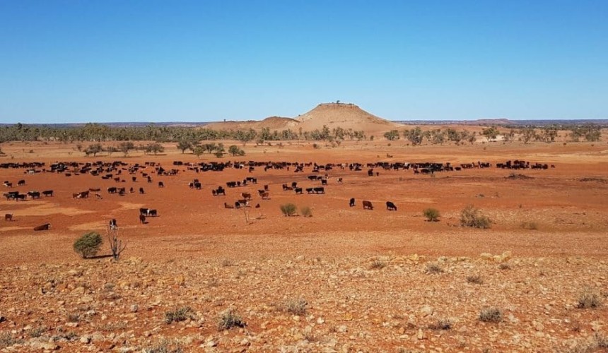 Carbon project pioneer Henbury Station sells for $32m