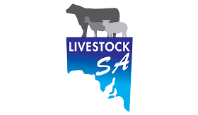 Former Cattle Council CEO takes reins at LivestockSA