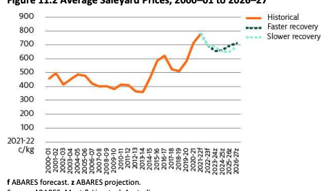 ‘Confidence premium’: What ABARES sees ahead for beef supply, demand and prices