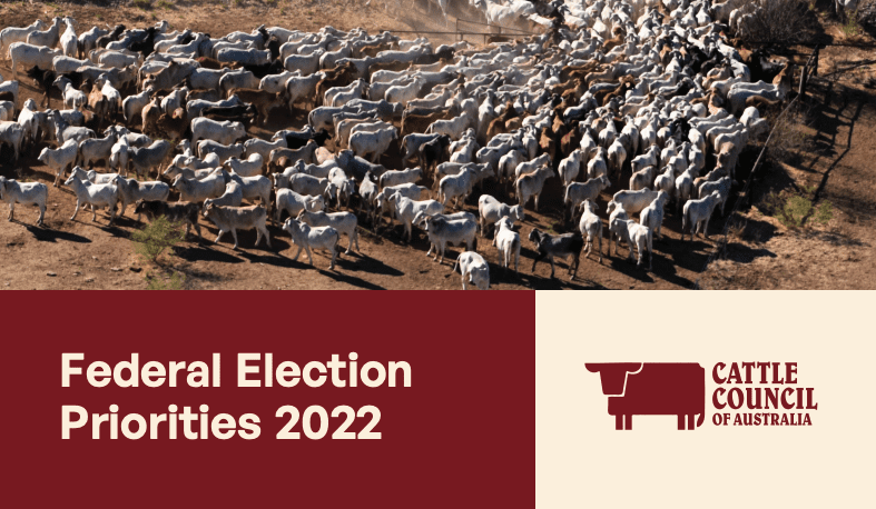 Cattle Council lists top federal election priorities