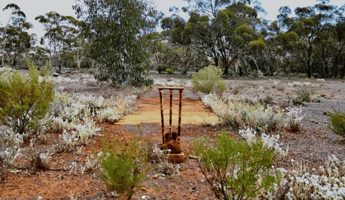 Instagram page digging up old station cricket pitches