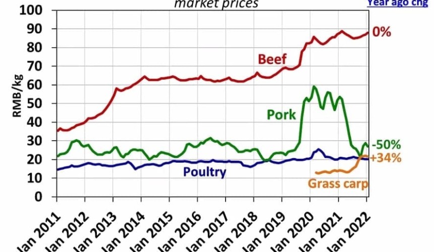 ‘Flight to quality’ crucial for Australian beef’s future