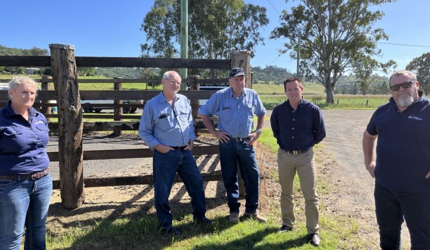 Displaced livestock reunited on the North Coast